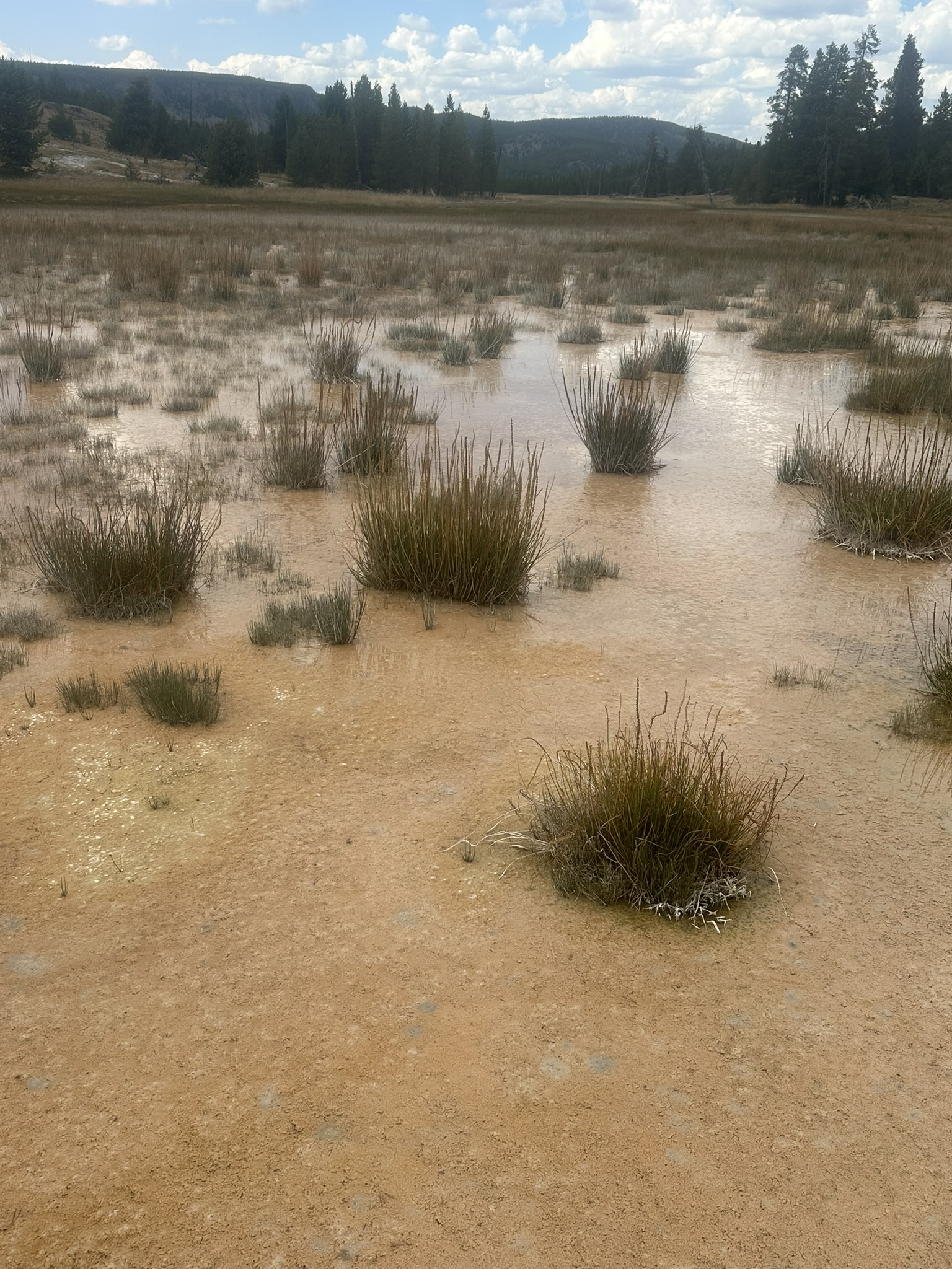 Yellowstone And Grand Teton National Parks - Image 57
